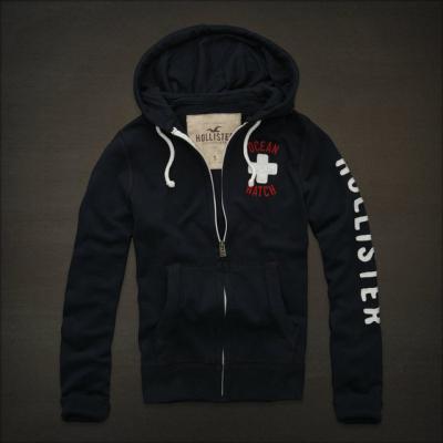 Hollister Men Hoodies-73